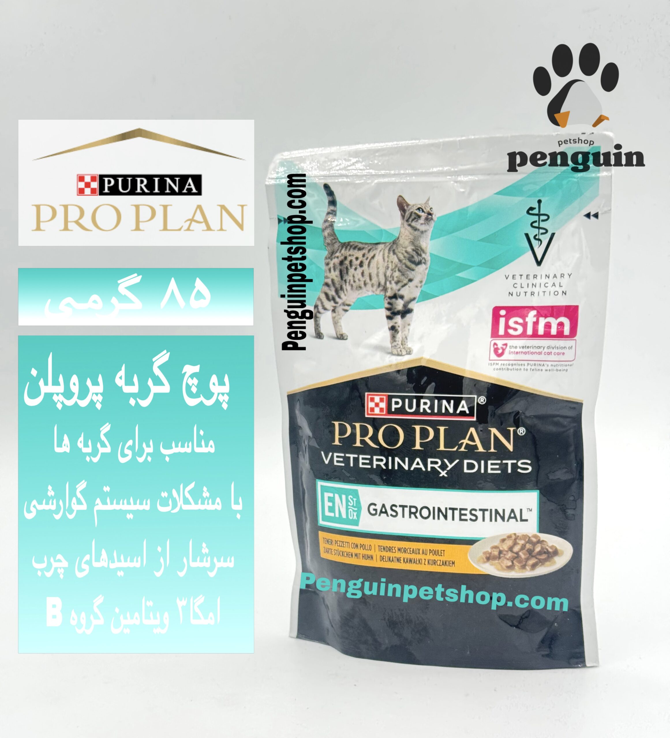 پوچ گسترو اینتستینال گربه