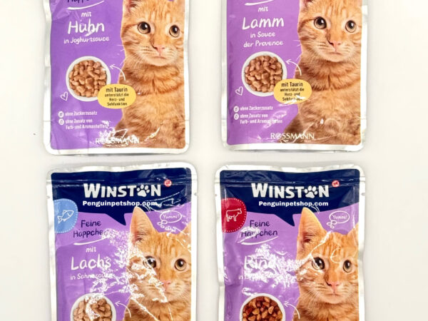 پوچ گربه وینستون  Cat Pouch در چهار طعم چهار عددی  400گرمی