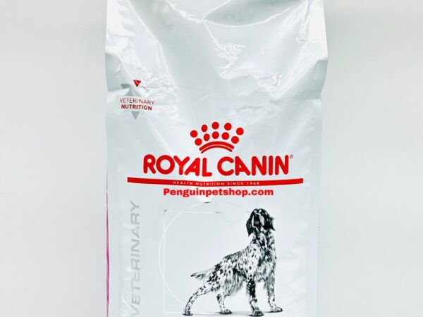 غذای خشک سگ رنال  رویال کنین Renal وزن 2 کیلوگرم ROYAL CANIN
