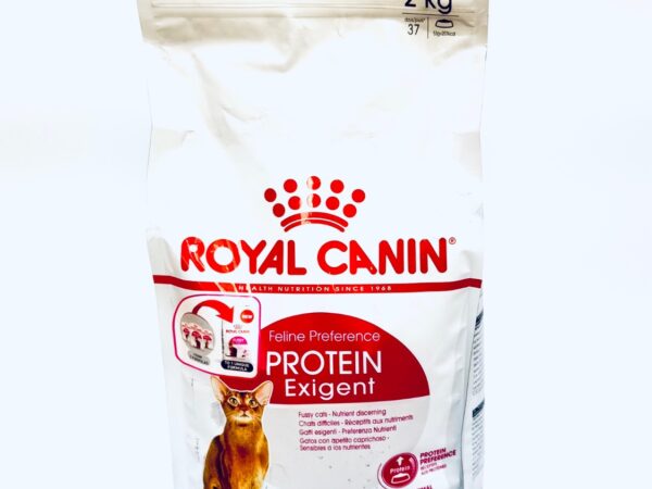 غذای خشک گربه پروتئین اگزیجنتROYAL CANIN PROTEIN Exigent وزن 2 کیلوگرم